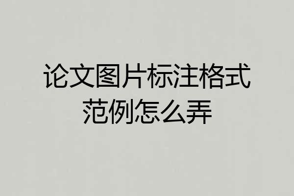 论文图片标注格式范例怎么弄