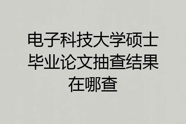 电子科技大学硕士毕业论文抽查结果在哪查