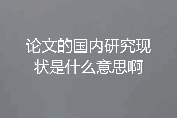 论文的国内研究现状是什么意思啊