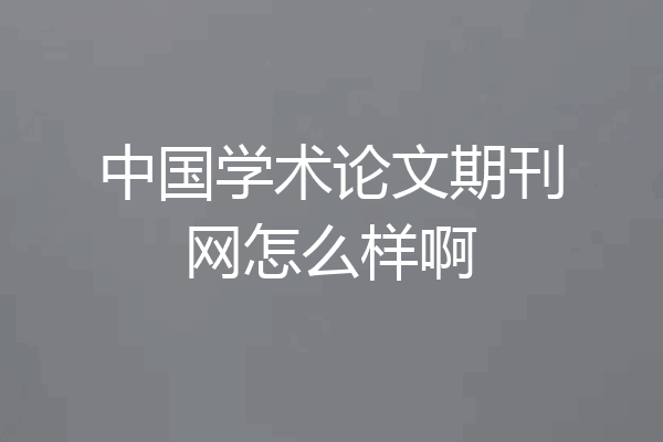 中国学术论文期刊网怎么样啊