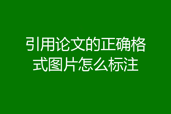 引用论文的正确格式图片怎么标注