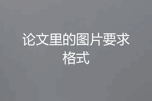 论文里的图片要求格式