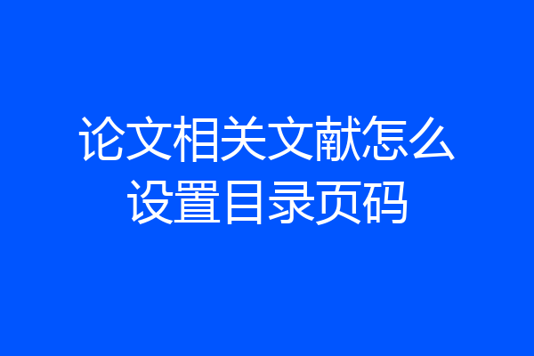论文相关文献怎么设置目录页码