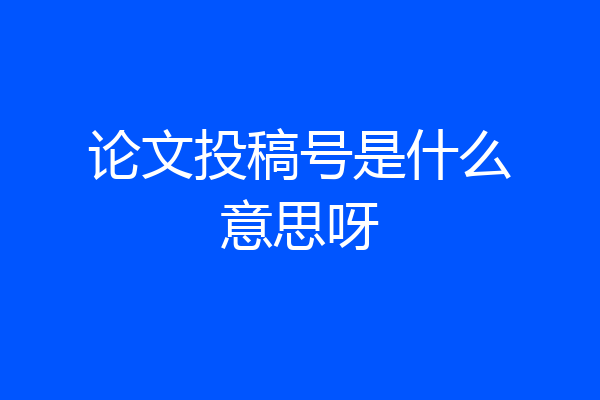 论文投稿号是什么意思呀