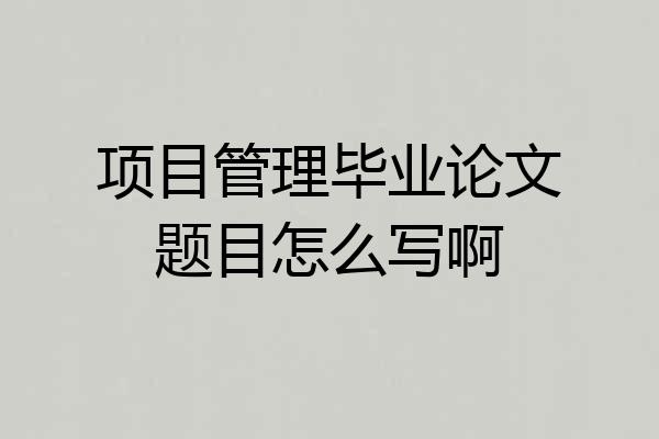 项目管理毕业论文题目怎么写啊