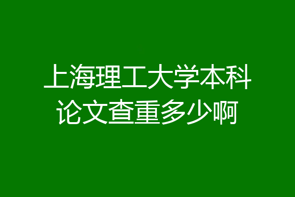 上海理工大学本科论文查重多少啊