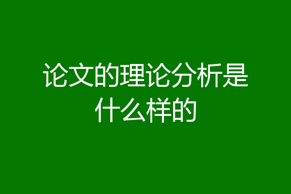论文的理论分析是什么样的