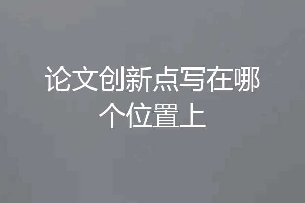 论文创新点写在哪个位置上
