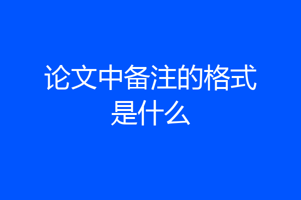 论文中备注的格式是什么