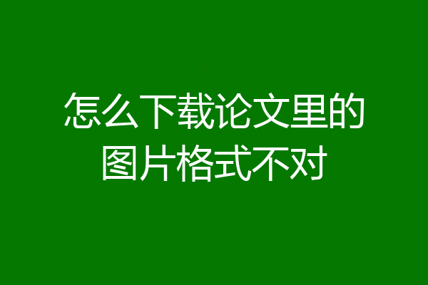 怎么下载论文里的图片格式不对