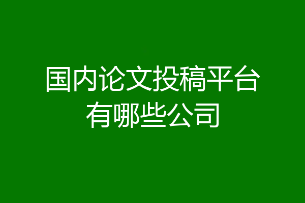 国内论文投稿平台有哪些公司