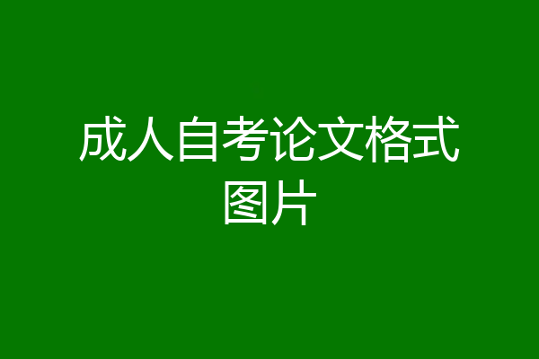 成人自考论文格式图片