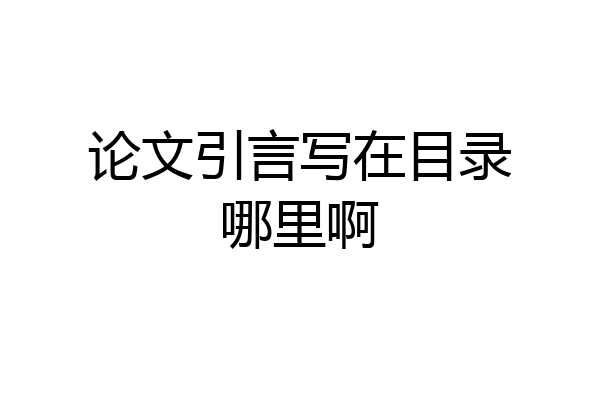 论文引言写在目录哪里啊