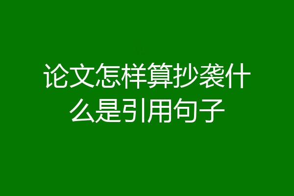 论文怎样算抄袭什么是引用句子