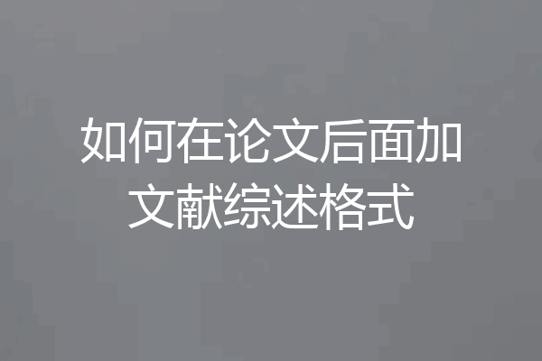 如何在论文后面加文献综述格式