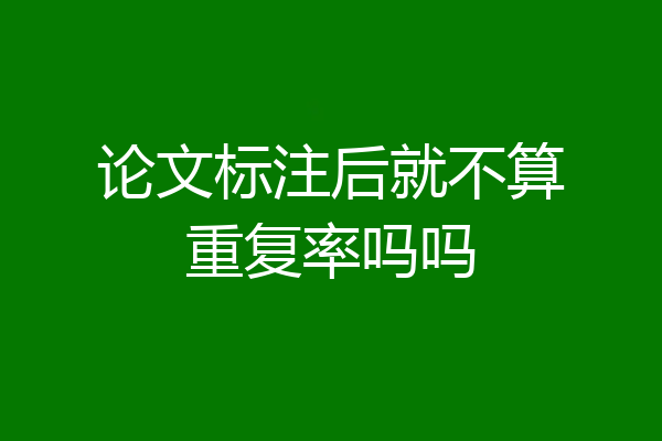 论文标注后就不算重复率吗吗