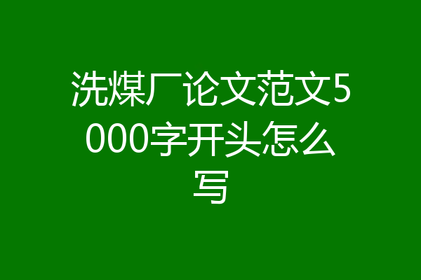 洗煤厂论文范文5000字开头怎么写