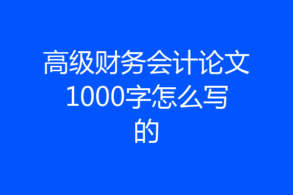 高级财务会计论文1000字怎么写的
