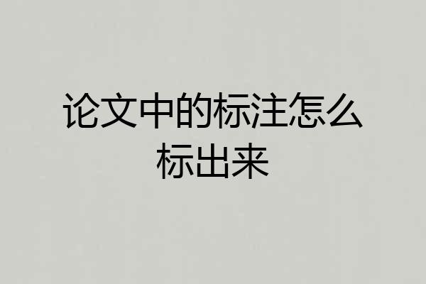 论文中的标注怎么标出来