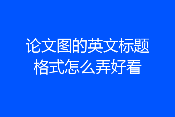 论文图的英文标题格式怎么弄好看