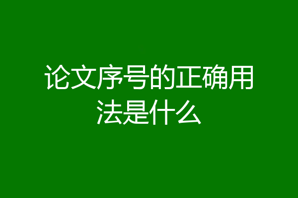 论文序号的正确用法是什么
