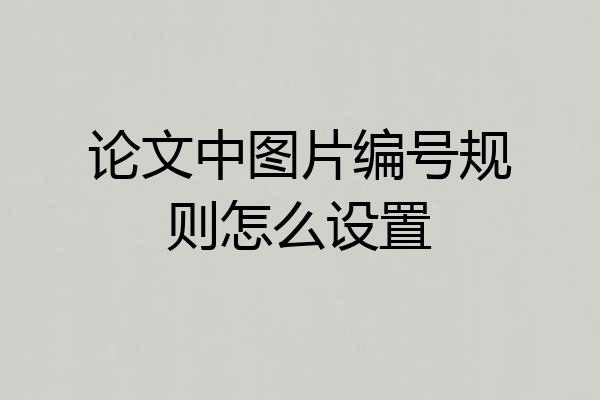 论文中图片编号规则怎么设置