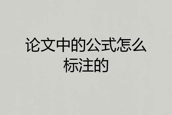 论文中的公式怎么标注的