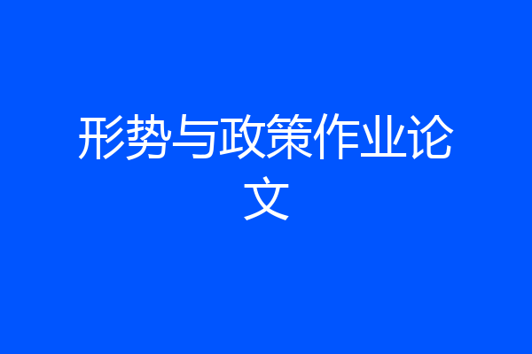 形势与政策作业论文