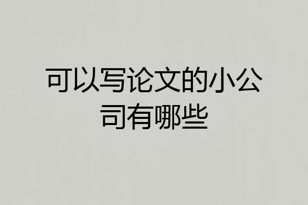 可以写论文的小公司有哪些