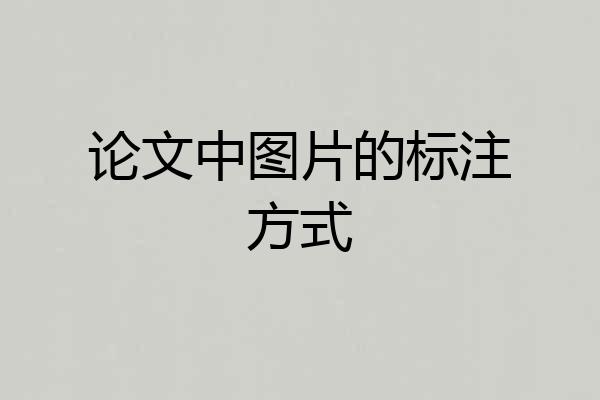论文中图片的标注方式
