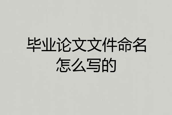 毕业论文文件命名怎么写的