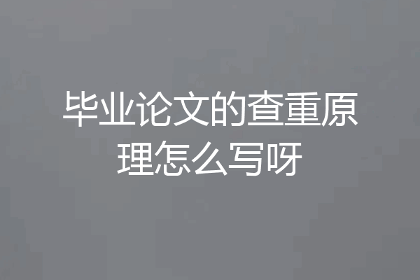 毕业论文的查重原理怎么写呀