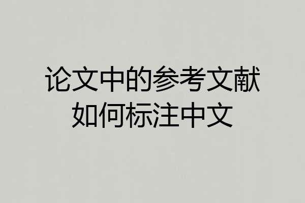 论文中的参考文献如何标注中文