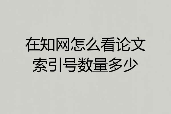 在知网怎么看论文索引号数量多少