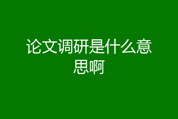 论文调研是什么意思啊