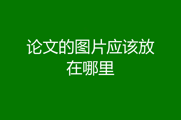 论文的图片应该放在哪里