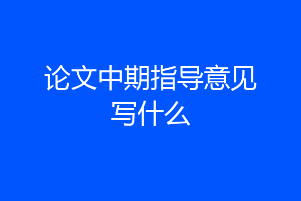 论文中期指导意见写什么