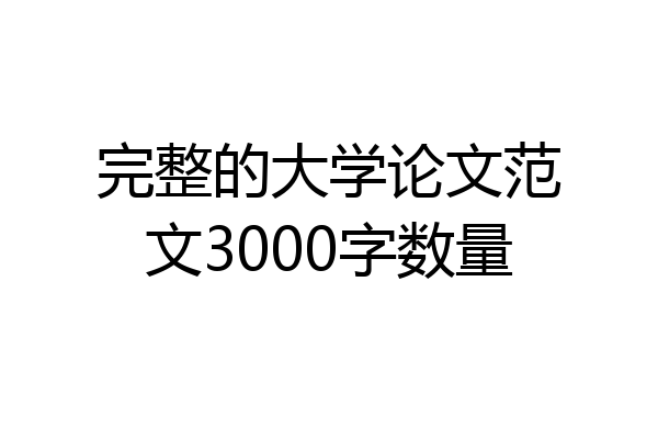 完整的大学论文范文3000字数量