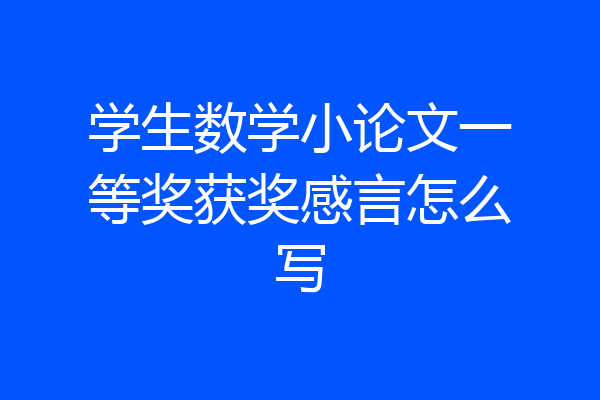 学生数学小论文一等奖获奖感言怎么写