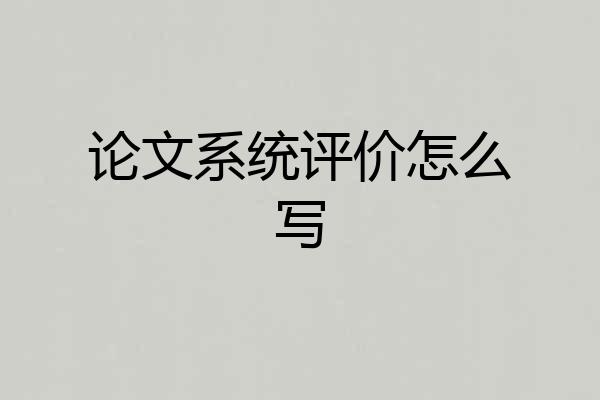 论文系统评价怎么写