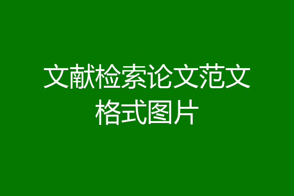 文献检索论文范文格式图片
