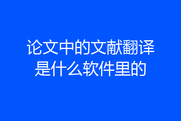 论文中的文献翻译是什么软件里的