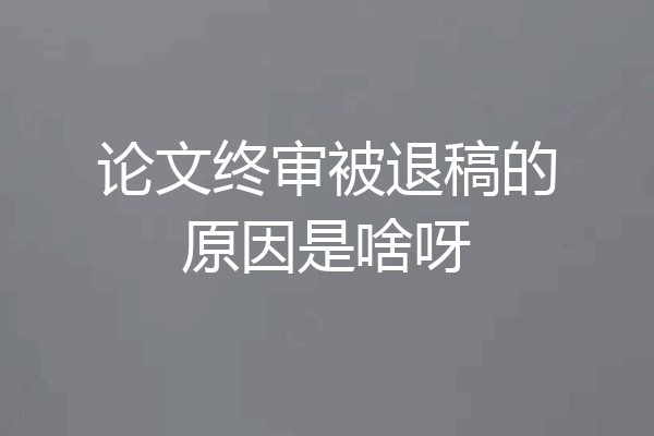 论文终审被退稿的原因是啥呀