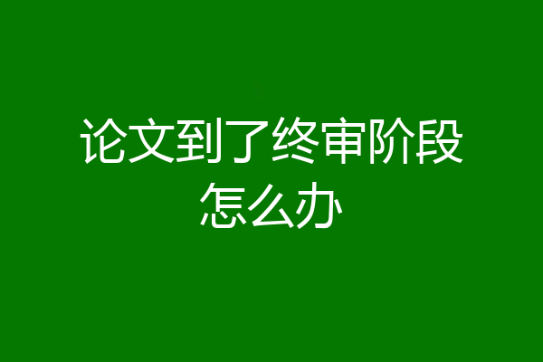 论文到了终审阶段怎么办