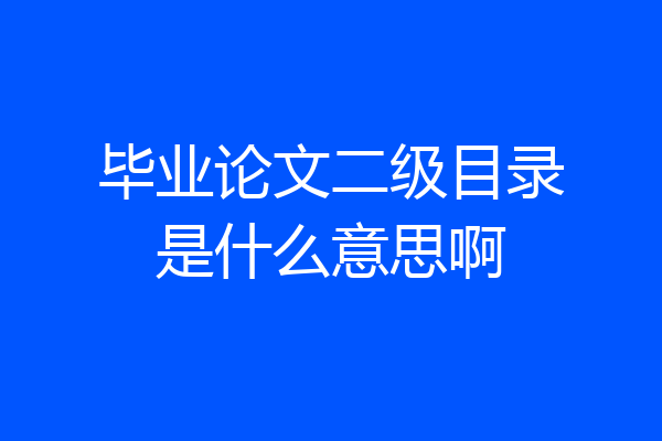 毕业论文二级目录是什么意思啊