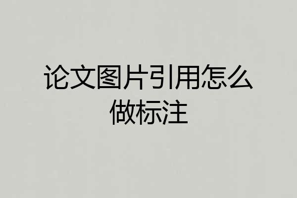 论文图片引用怎么做标注