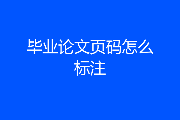 毕业论文页码怎么标注