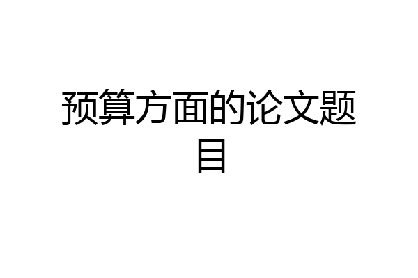 预算方面的论文题目