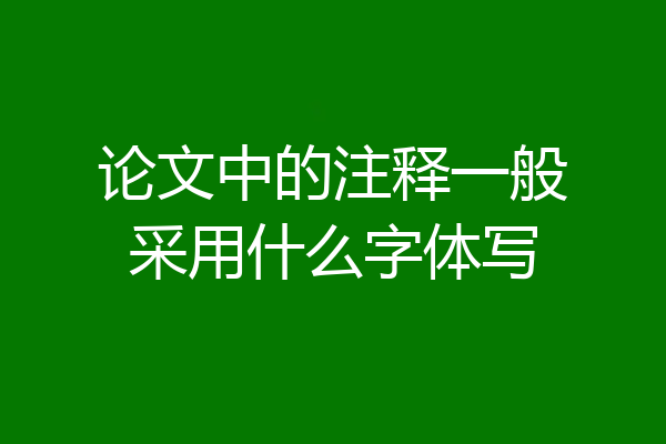 论文中的注释一般采用什么字体写