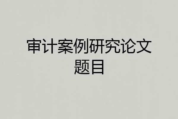 审计案例研究论文题目